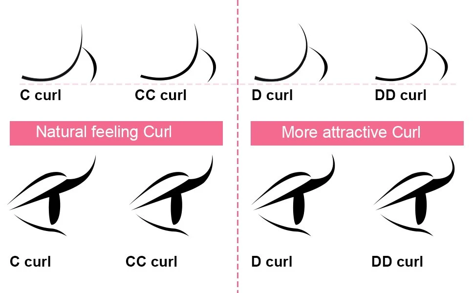 lash curl show lash curl show